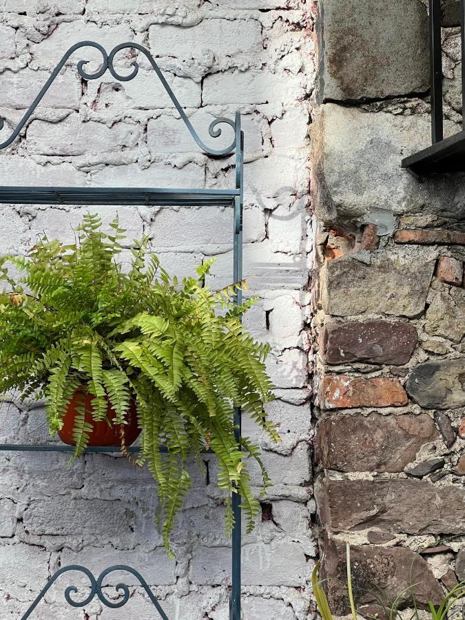 Bed & Breakfast Antiguo Meson San Miguel de Allende